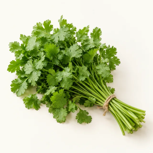 Fresh cilantro